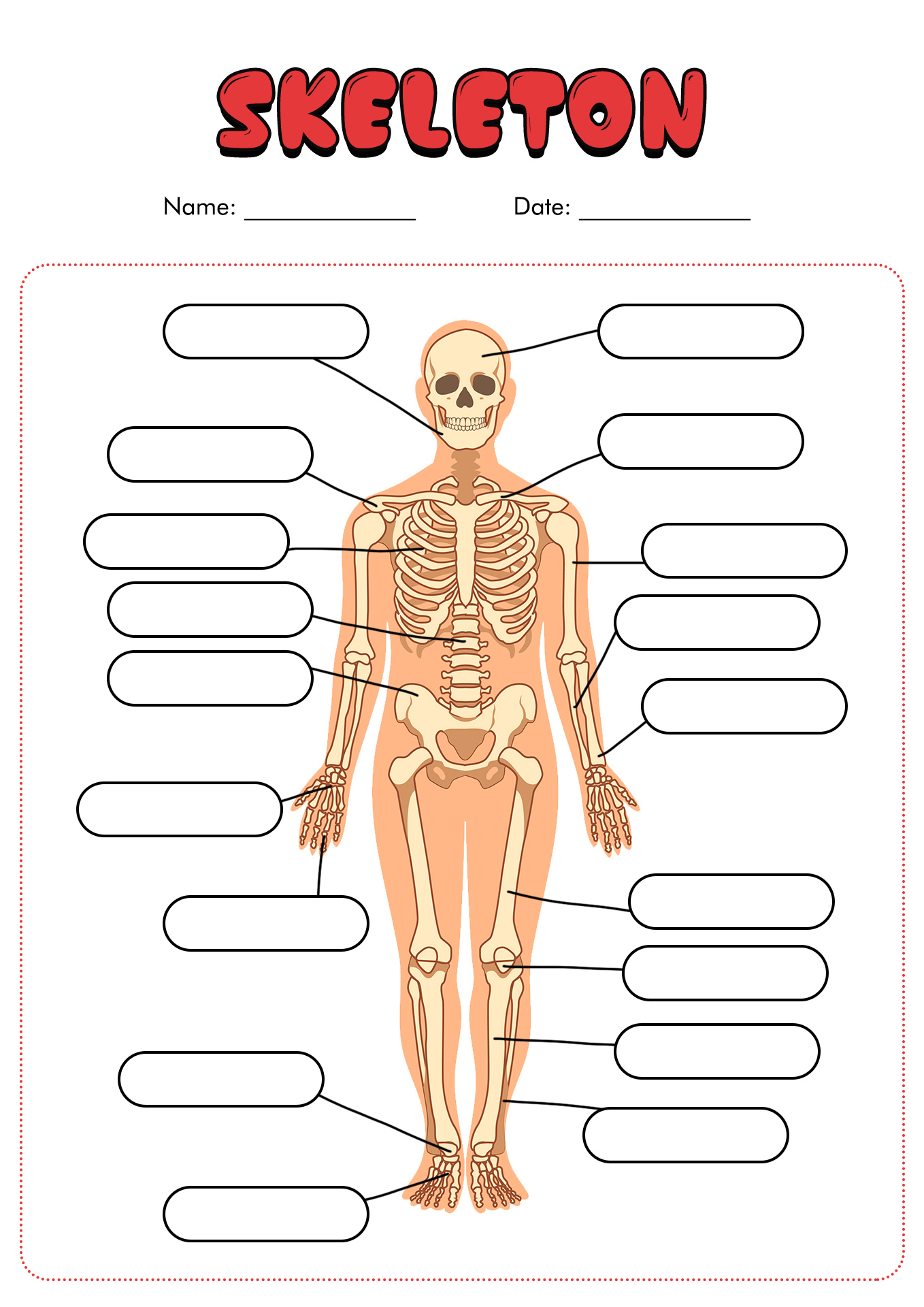 11 Best Images of Blank Anatomy Worksheets - Human Anatomy Body