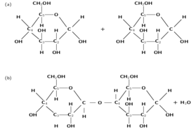 10 Best Images of Lipids Carbohydrates Printable Worksheets - Organic