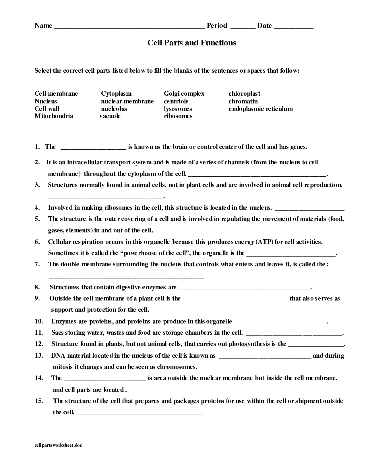 Cell Parts And Functions Worksheet Answers