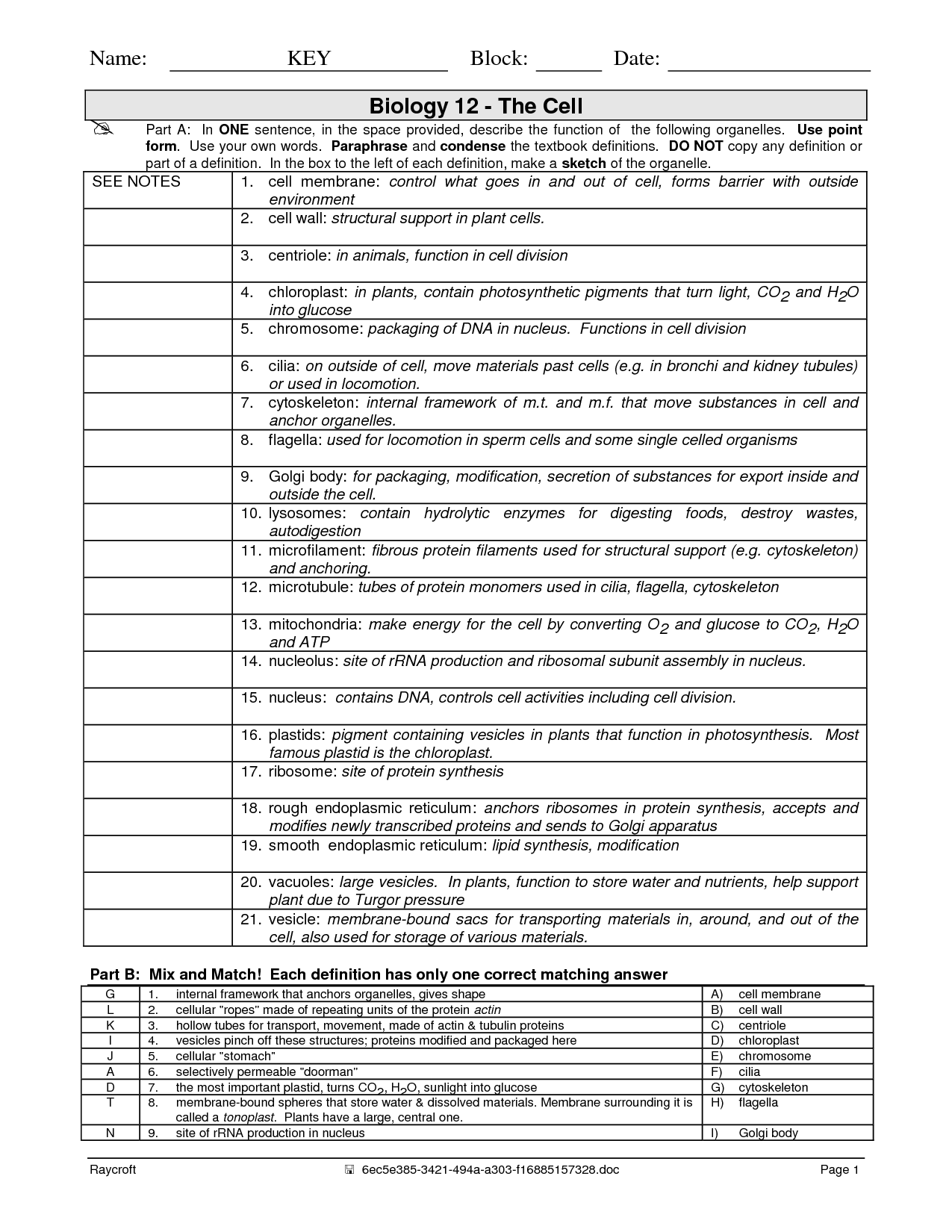 14 Best Images Of Cell Structure And Function Worksheet Answers Cell Organelles Worksheet 