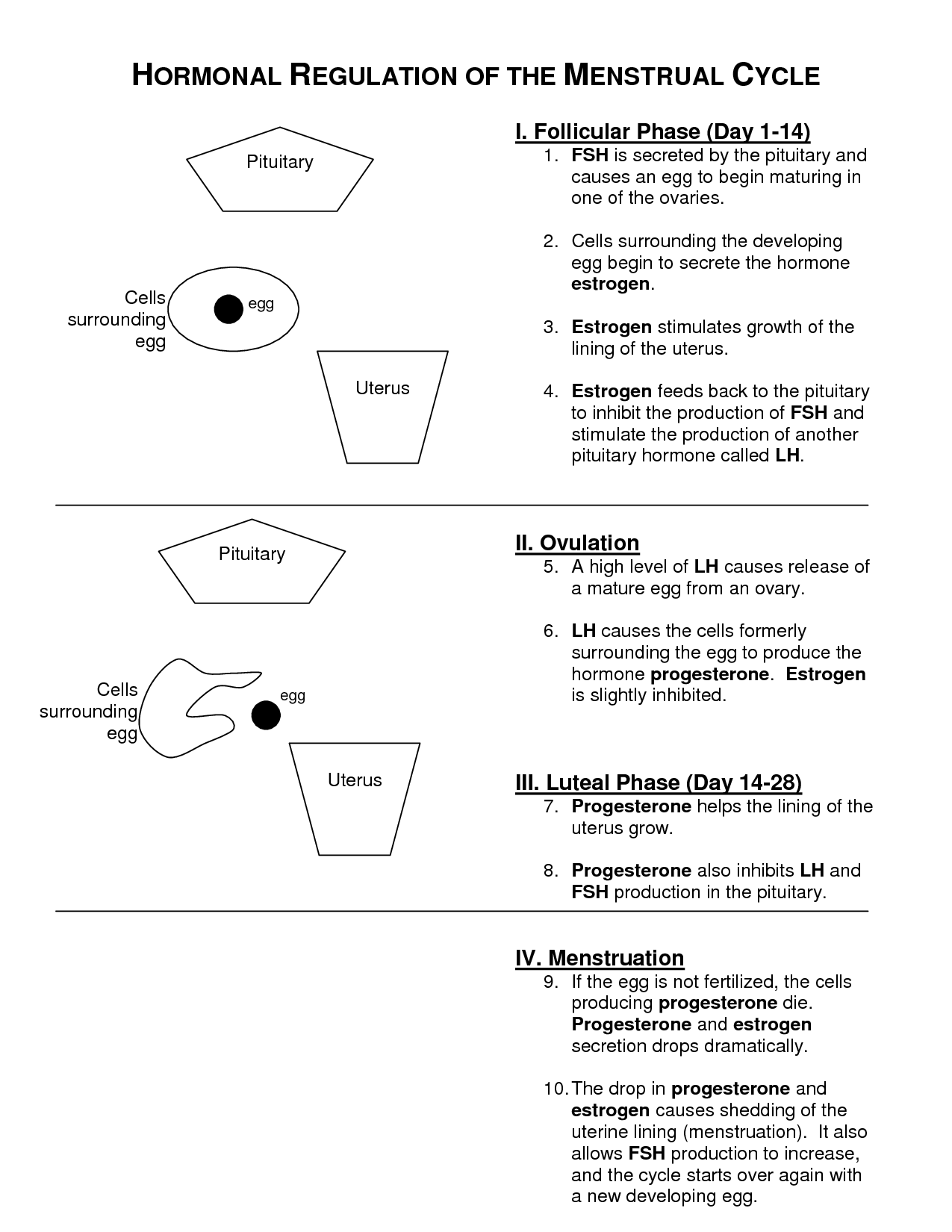 14-best-images-of-time-cycle-worksheets-precipitation-water-cycle-worksheets-time-study