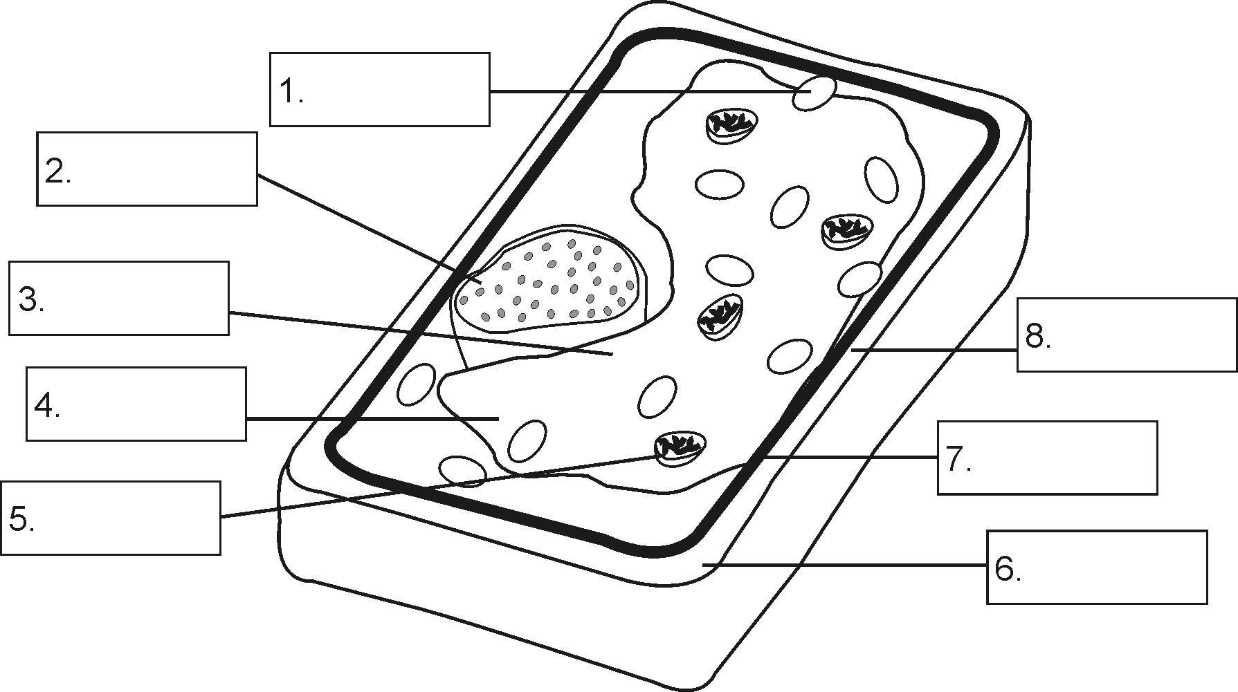 14 Best Images of Labeled Plant Cell Parts Worksheet ...