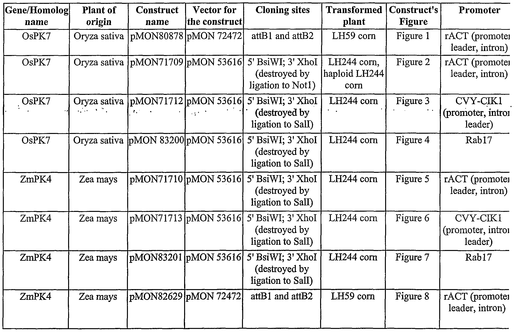 Function Of The Organelles Worksheet