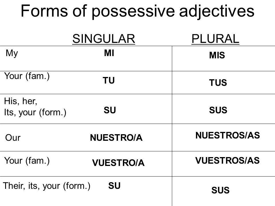 9 Best Images Of Worksheet Spanish Adjetivos Posesivos Long Form Possessive Adjectives In