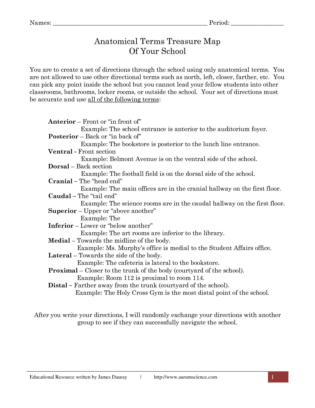 Directional Terms Worksheet Anatomy Physiology Answers - Worksheet List