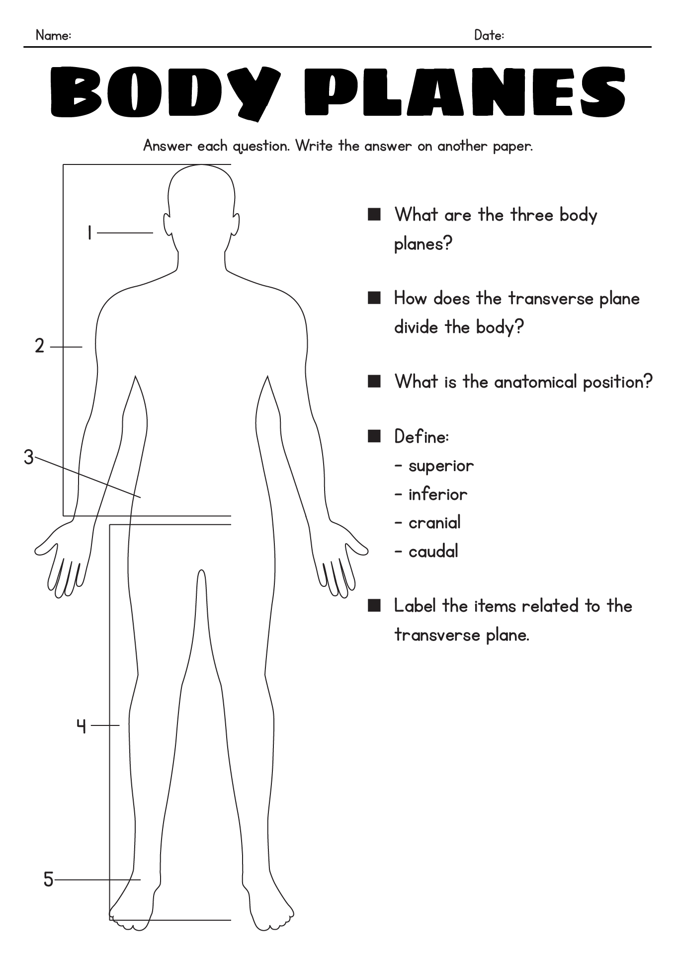 anatomy directional terms worksheet