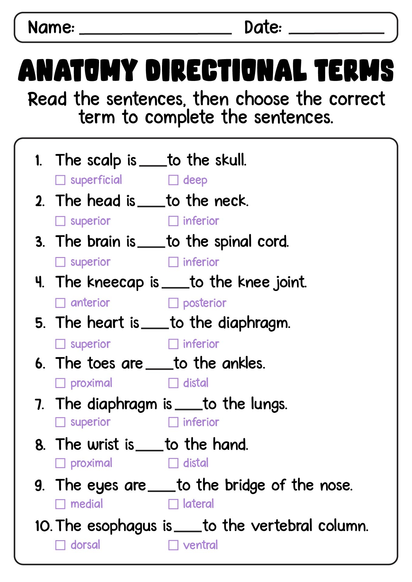 anatomical-terminology-worksheet-1-answers-black411-blog