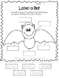 Label the Bat Worksheets for Kindergarten
