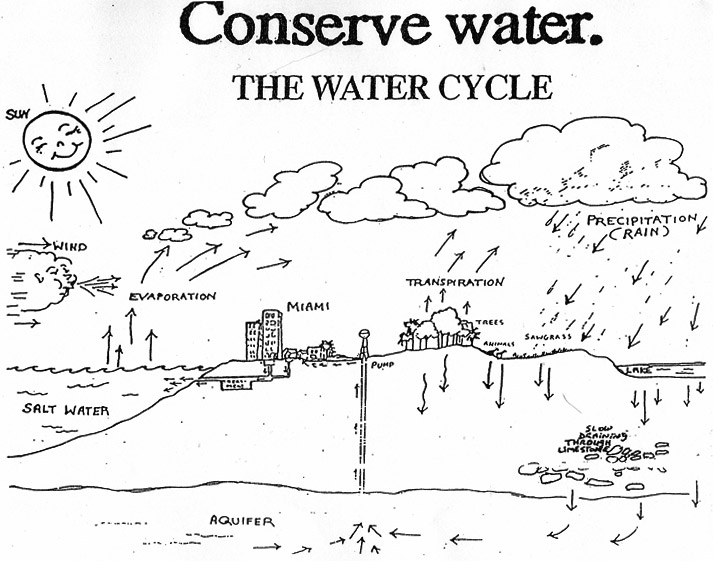 12 Best Images Of Water Cycle Blank Worksheet Water Cycle 6th Grade