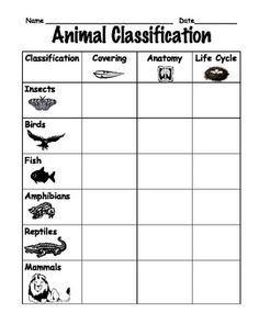 First Grade Animal Classification Chart