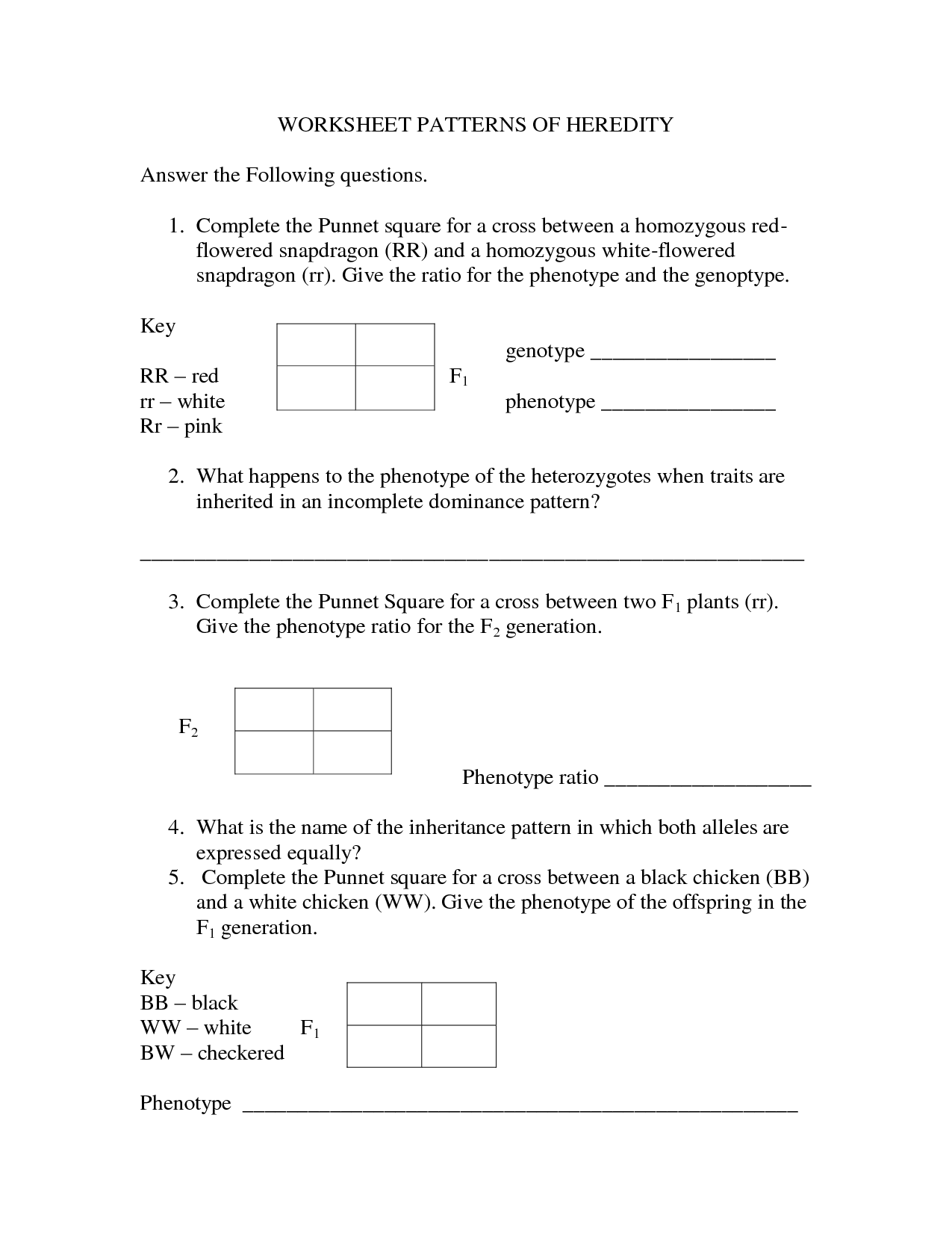 13-best-images-of-punnett-square-worksheets-with-answers-punnett-square-worksheet-answers
