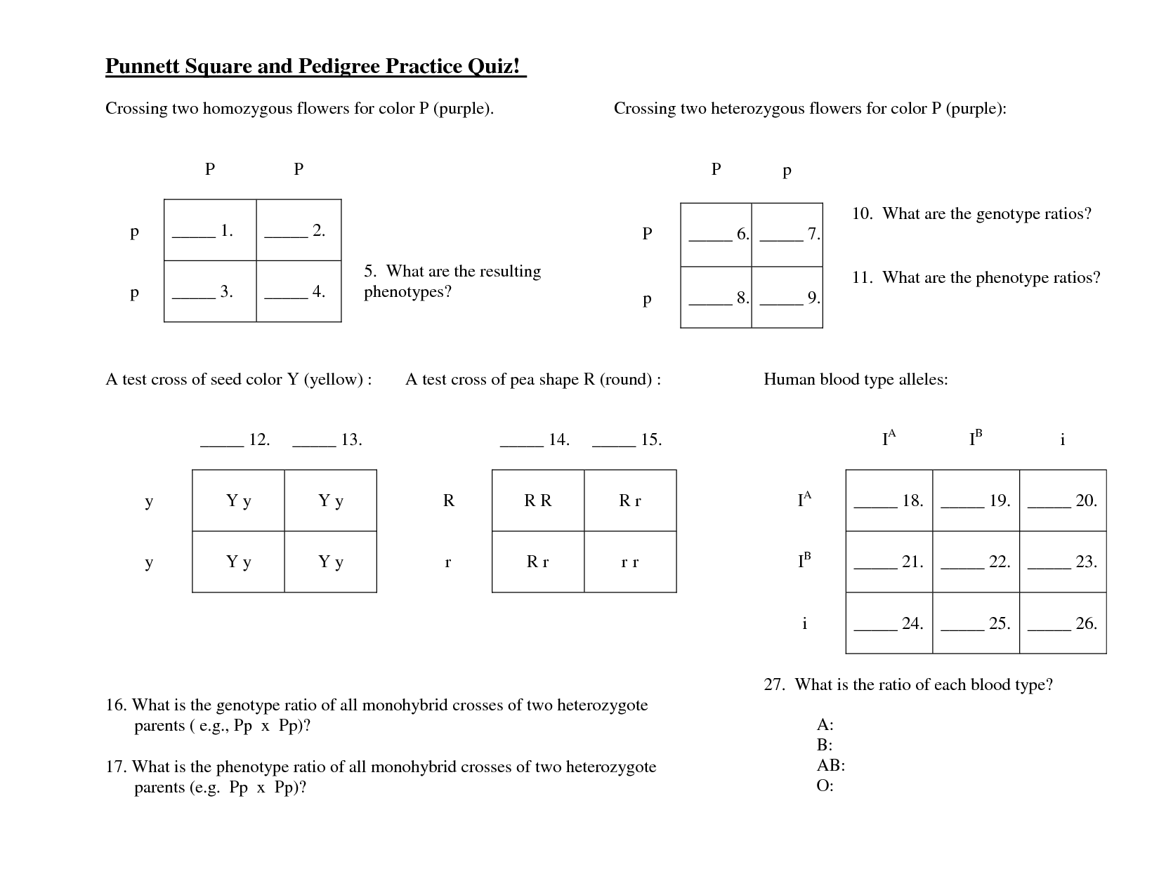 13 Best Images of Punnett Square Worksheets With Answers ...