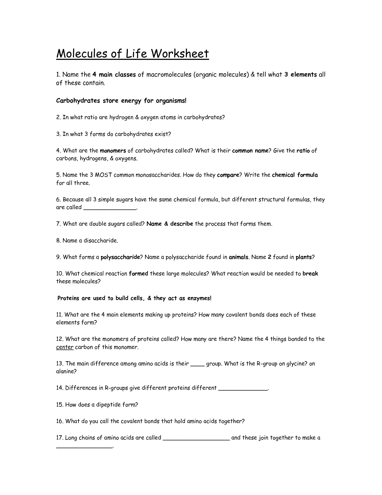 15 Best Images of Biological Molecules Worksheet - Organic Molecules
