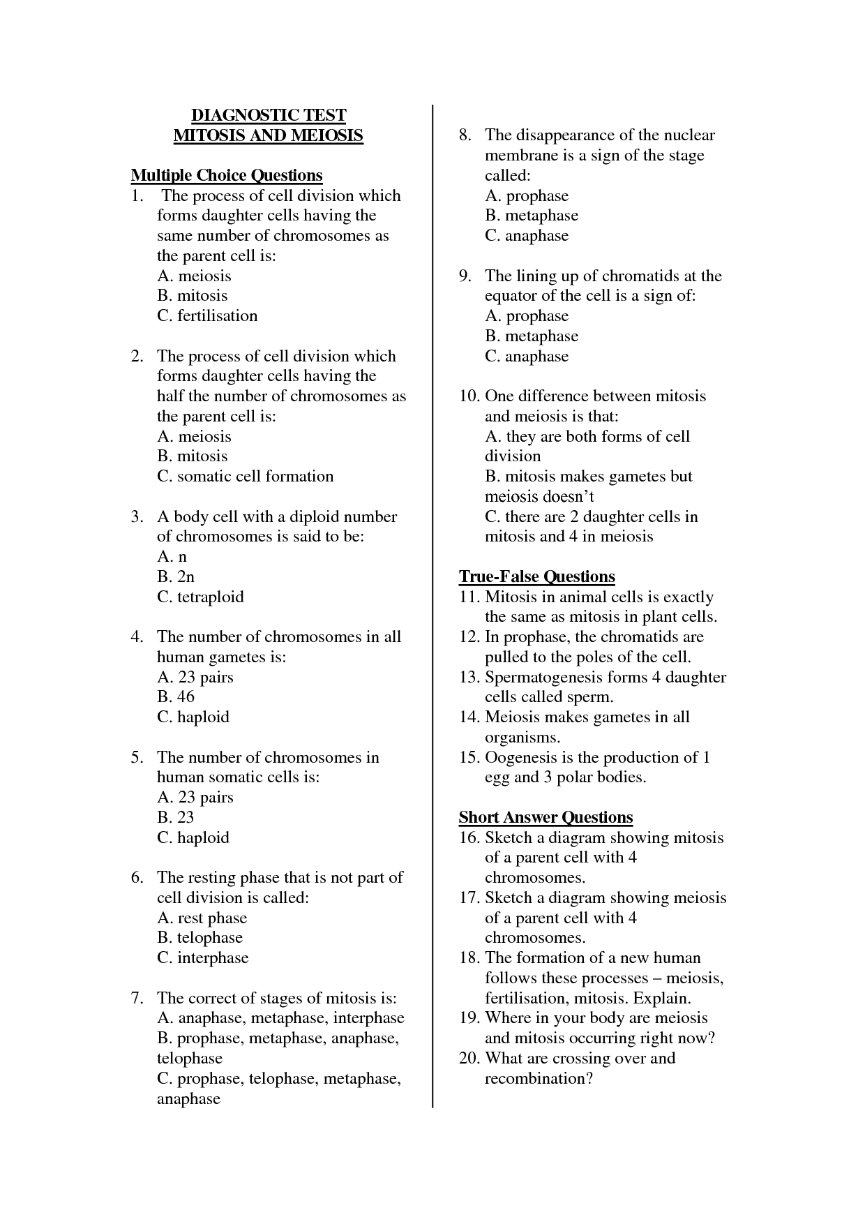 7-best-images-of-history-multiple-choice-worksheets-maps-charts-and-graphs-worksheets-ap-us