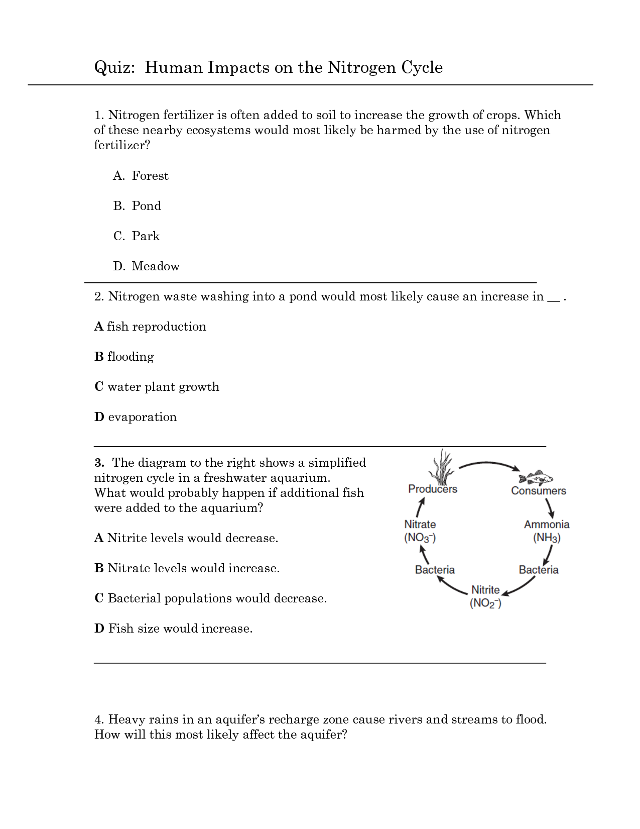Rock Cycle Quiz Printable Worksheets
