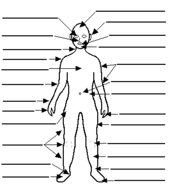 Blank Printable Human Body Diagram 