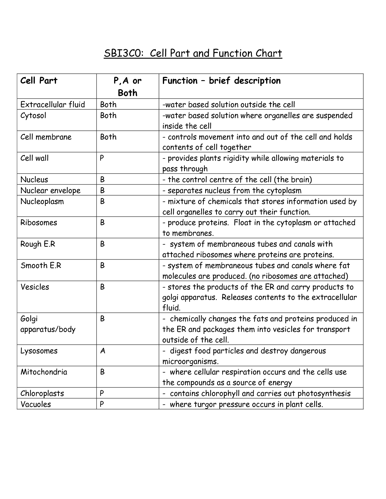 Cells And Their Organelles Worksheet