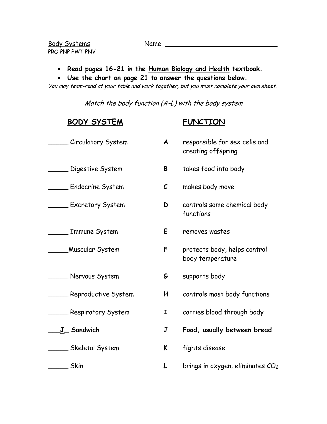 Human Body Worksheet Answers