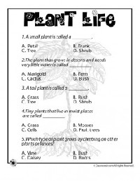 Plant Life Worksheets