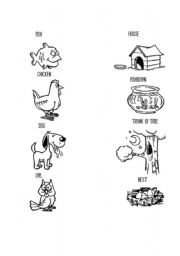 8 Best Images of Animal Homes Worksheet Kindergarten - Animals and