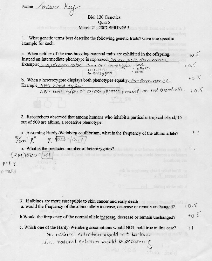 Human Population Growth Worksheet Answer