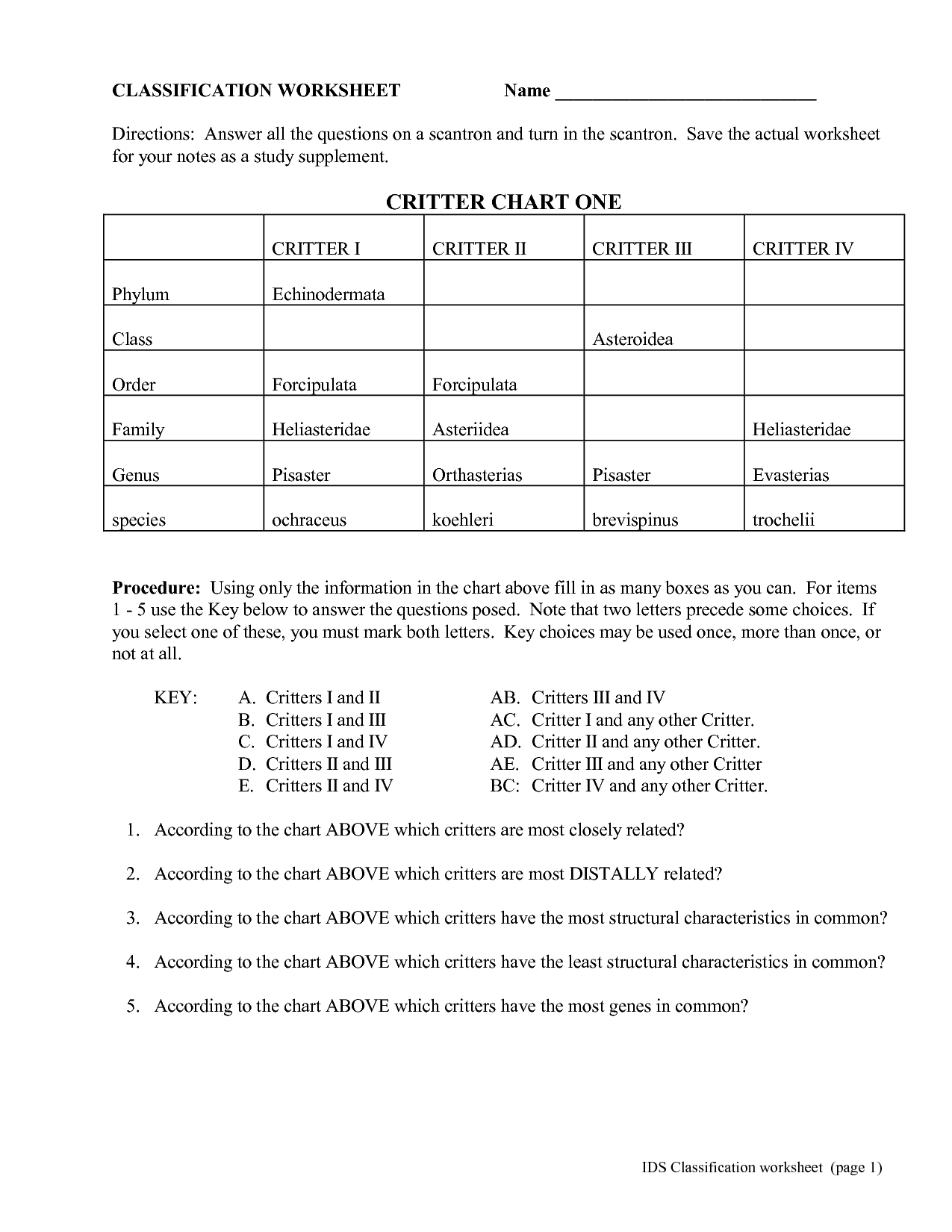 Number Classification Worksheet Answer Key