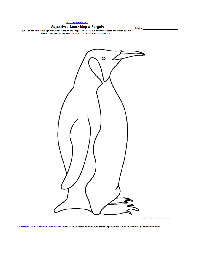 Penguin Body Parts Template