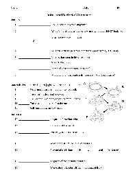 Number Worksheet Category Page 59  worksheeto.com