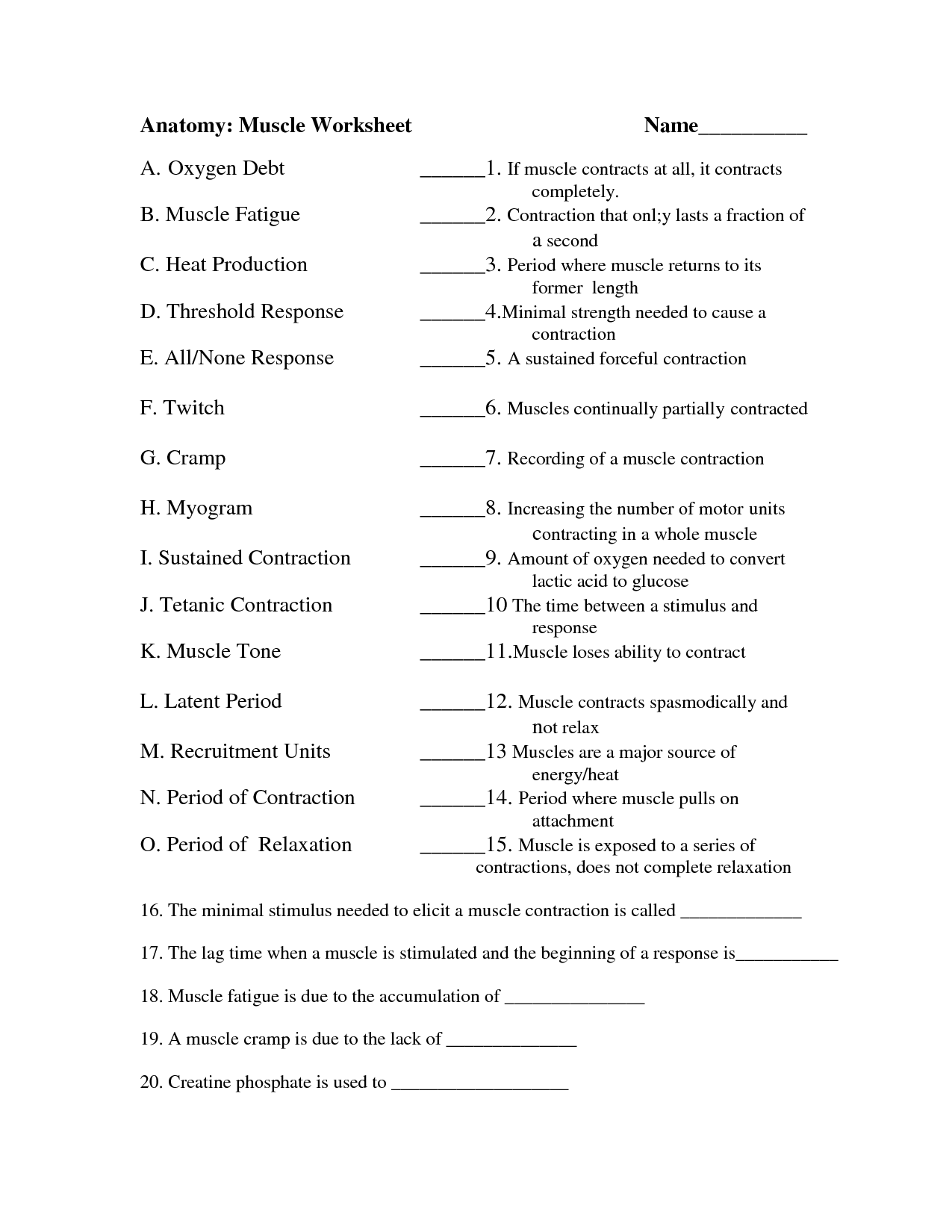 14 Best Images of Current Events Response Worksheet - Anatomy Muscle