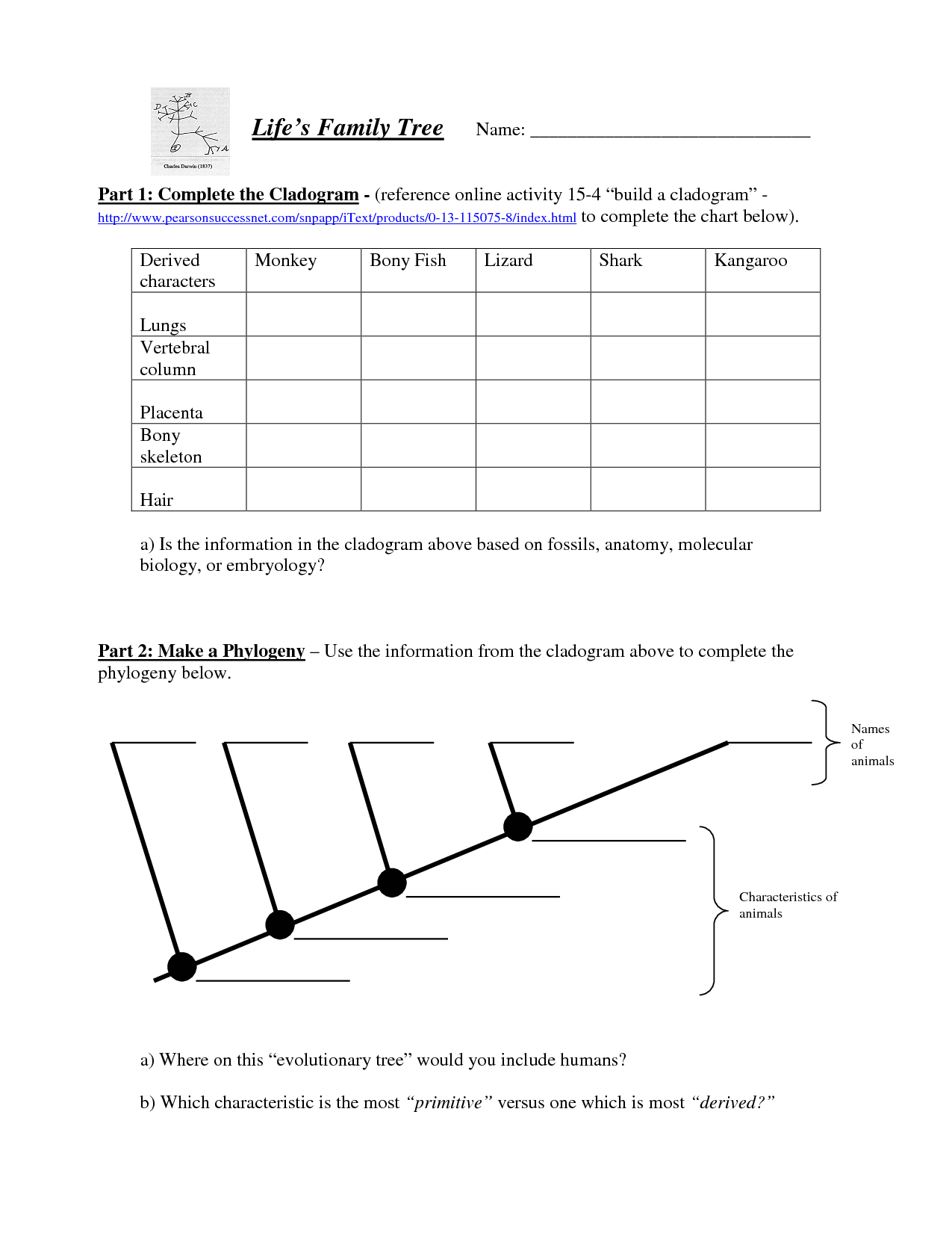 cladograms-and-phylogenetic-trees-worksheet