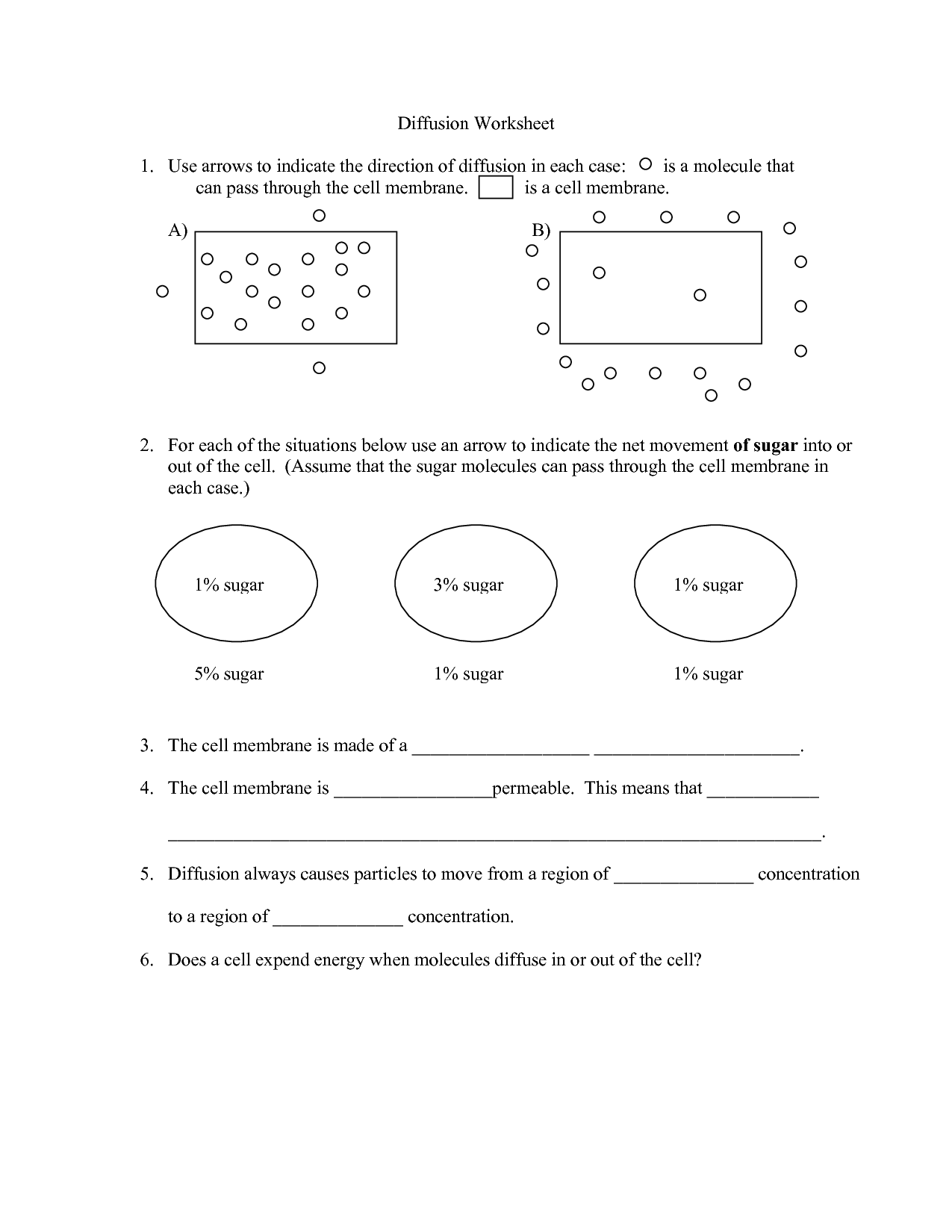 Diffusion Osmosis Active Transport Worksheet Answers