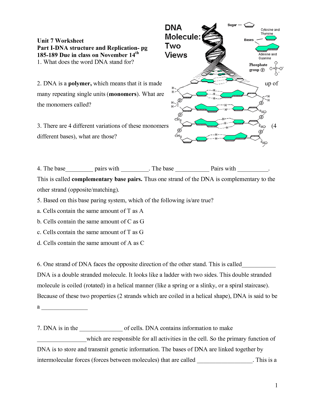 Dna Structure And Function Worksheet Answer Key