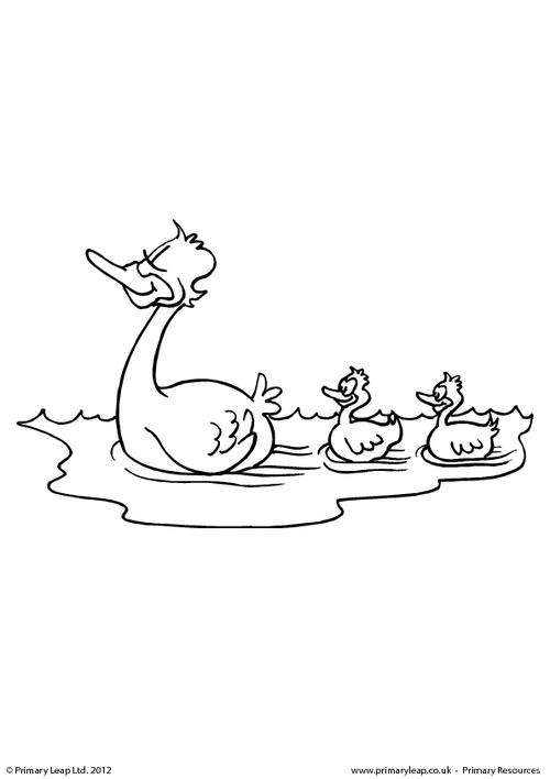 Leap Day Coloring Pages Coloring Pages