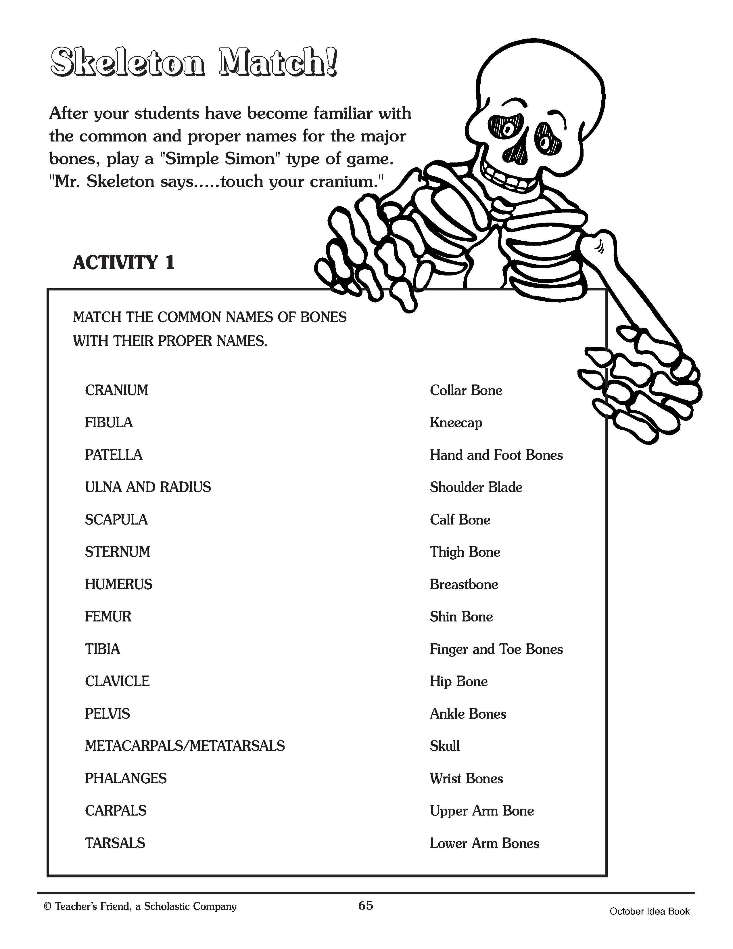 Printable Skeleton Labeling Worksheet Portal Tutorials