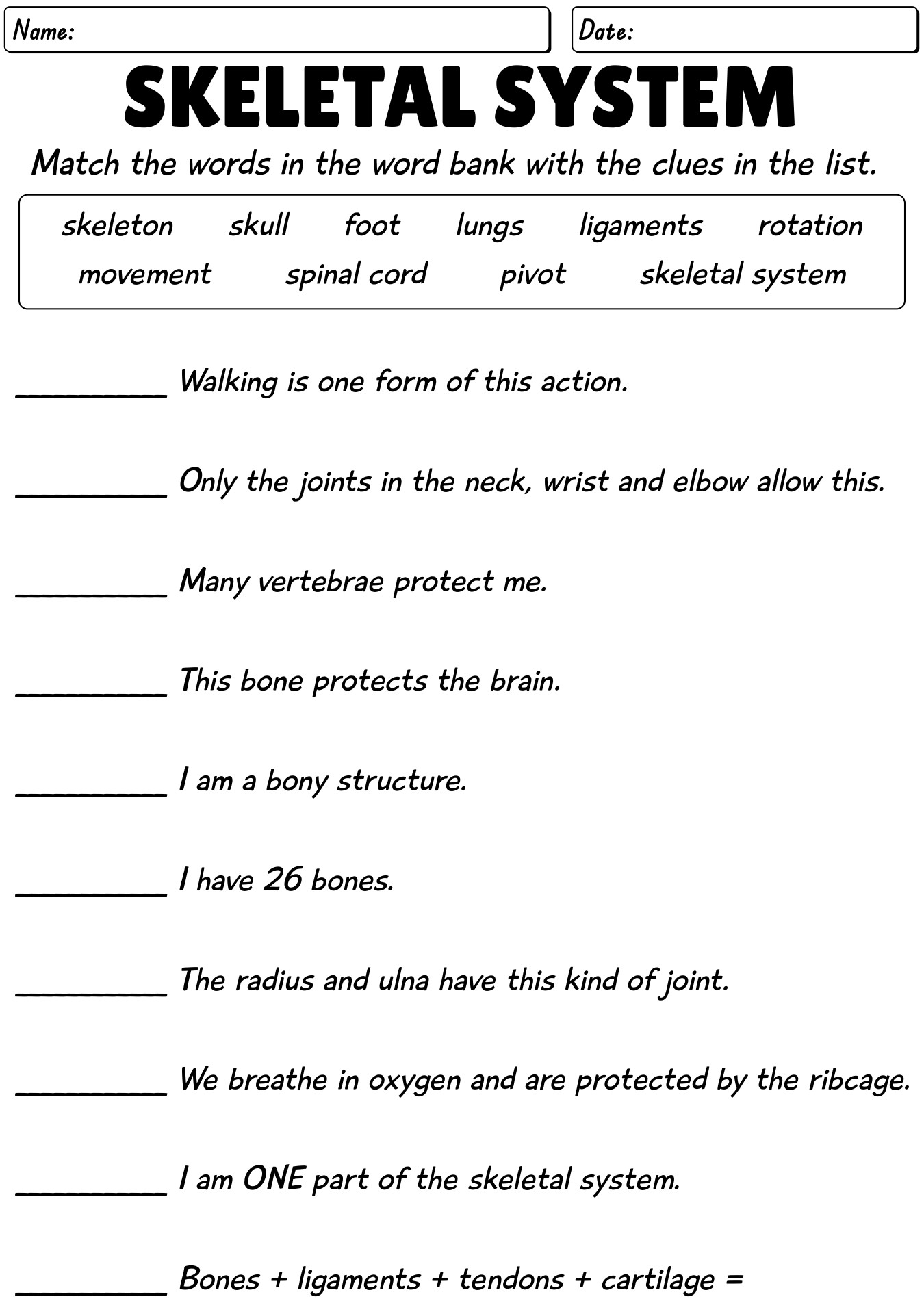 Skeletal System Worksheet Pdf