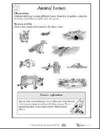 2nd Grade Science Printable Worksheets