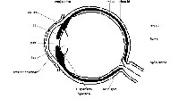 Structure of the Eye Diagram with Labels