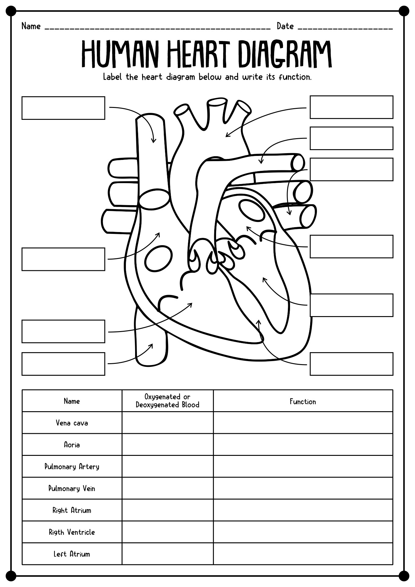 anatomy-and-physiology-printable-worksheets-printable-word-searches