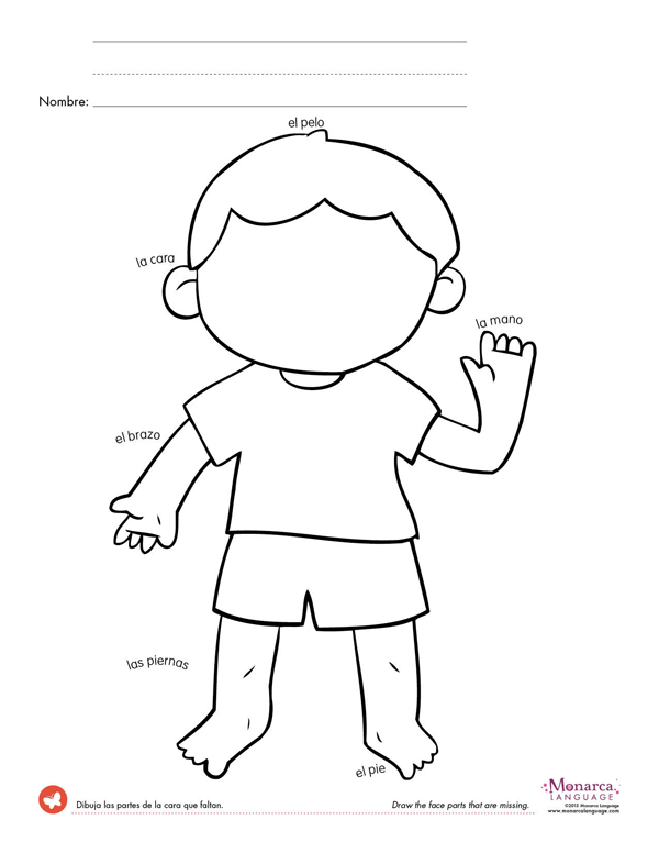10 Best Images of Visual Discrimination Worksheets Kindergarten Body