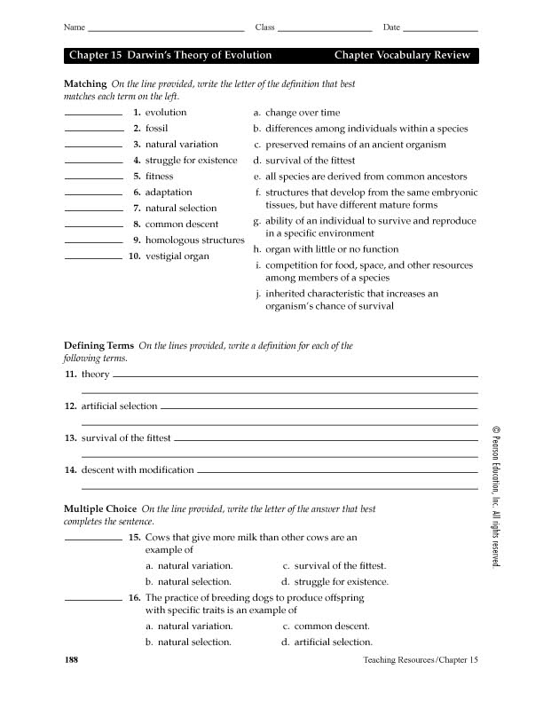 12-best-images-of-evolution-worksheet-with-answer-key-theory-of-evolution-worksheet-answer-key