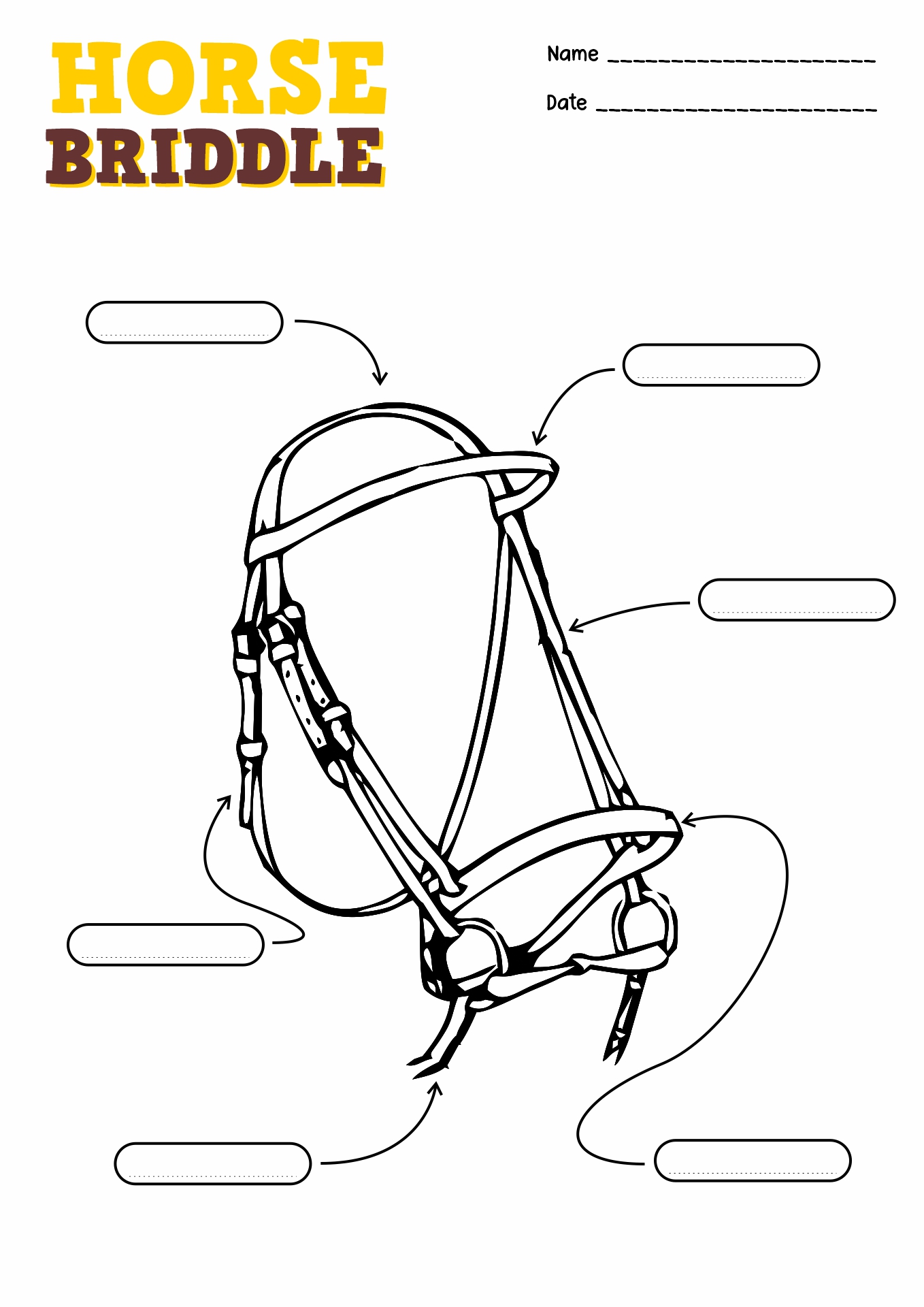 English Bridle Parts Worksheet