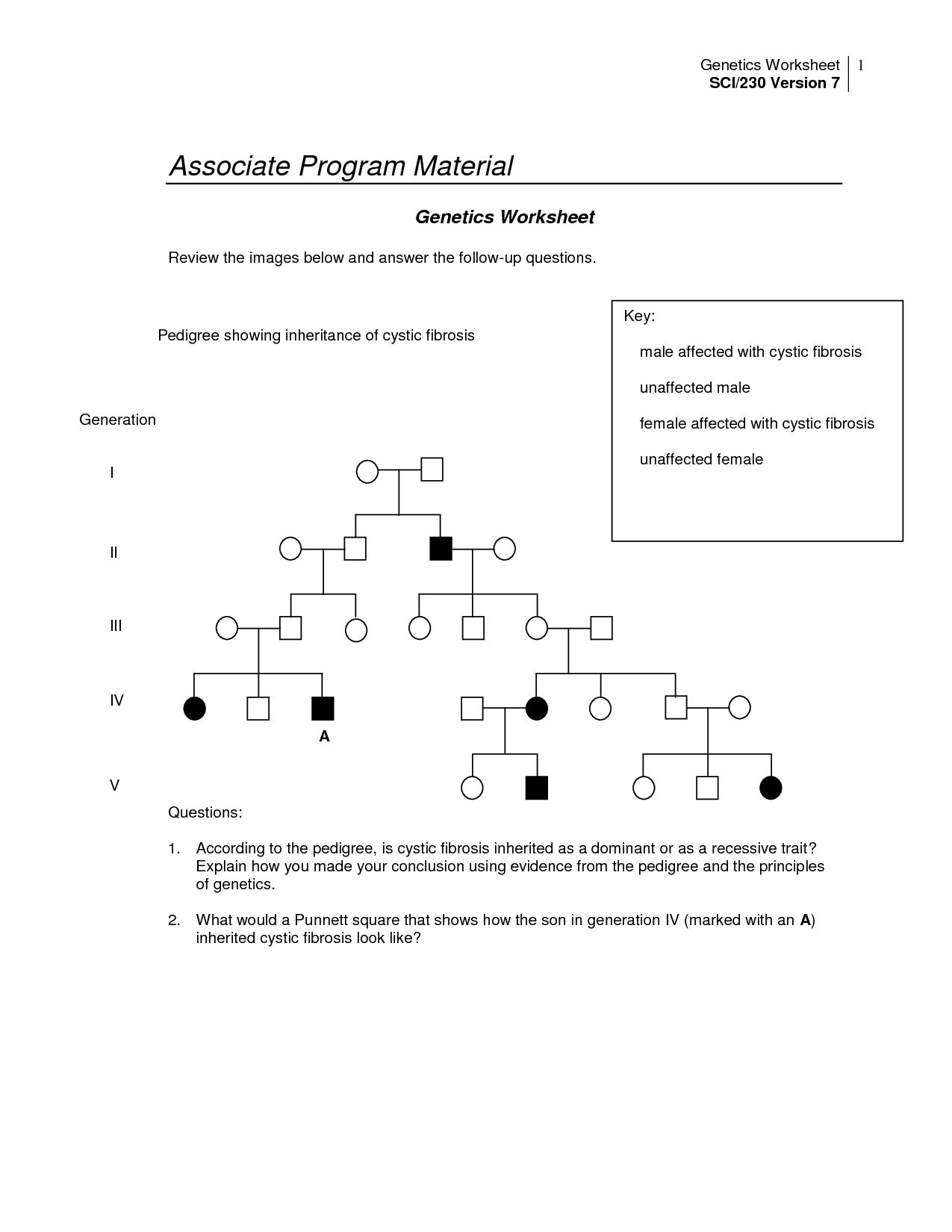 8-best-images-of-cracking-your-genetic-code-worksheet-worksheet-secret-code-spelling-the