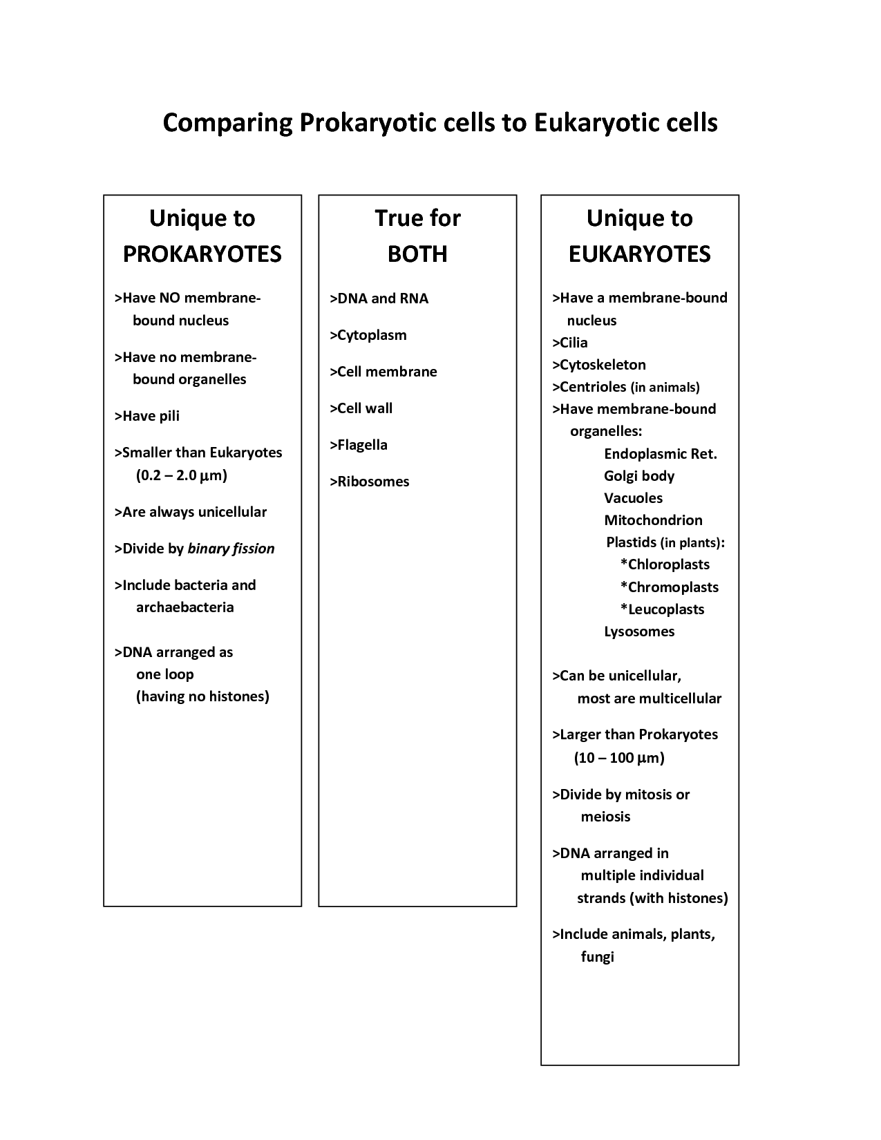 14 Best Images of Comparing DNA And RNA Worksheet - Section 12 4