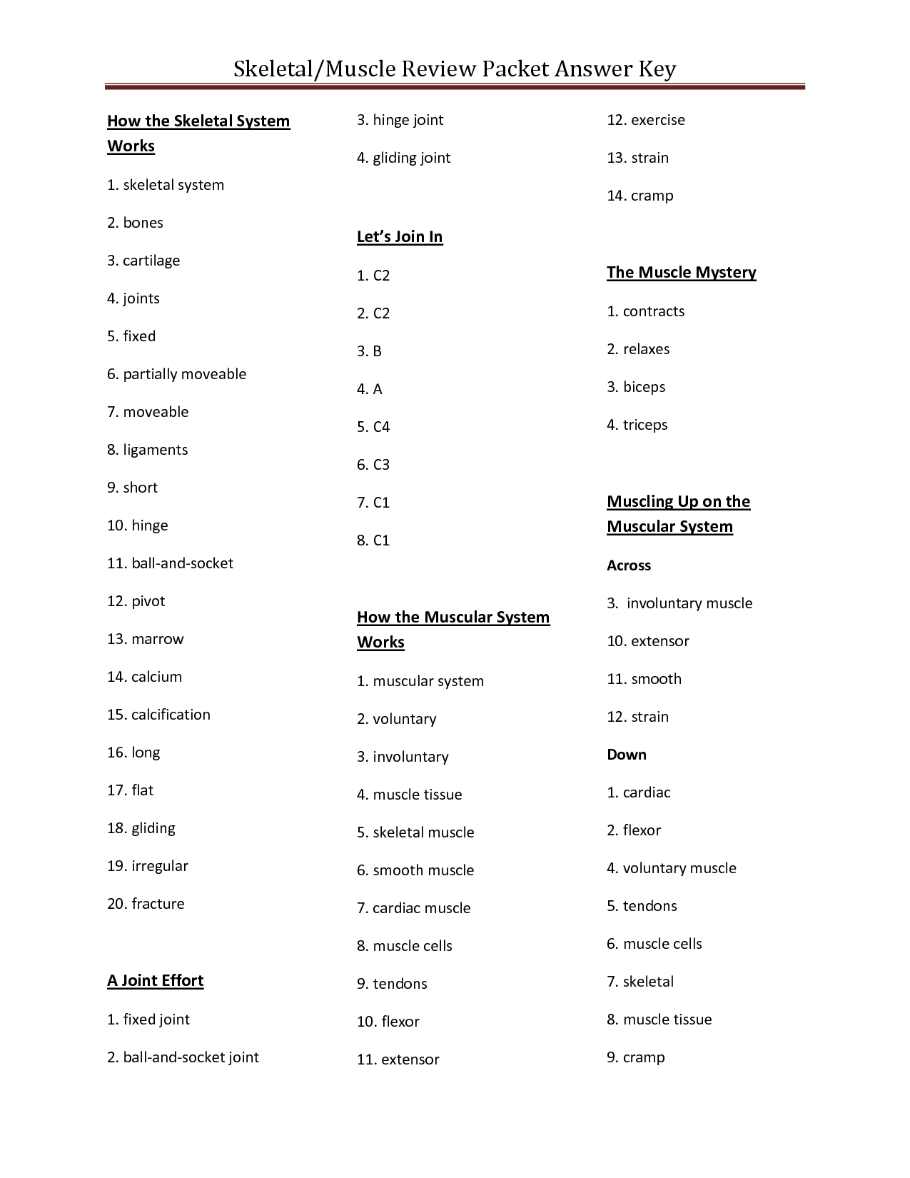 13-best-images-of-muscular-system-worksheets-muscular-skeletal-system-worksheets-muscular