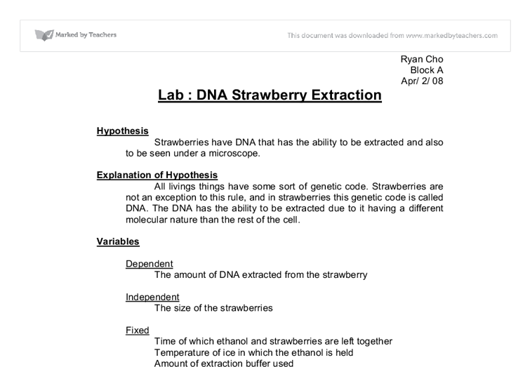 Strawberry Dna Extraction Lab Worksheet