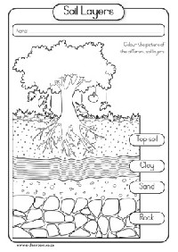 Soil Layers Worksheet