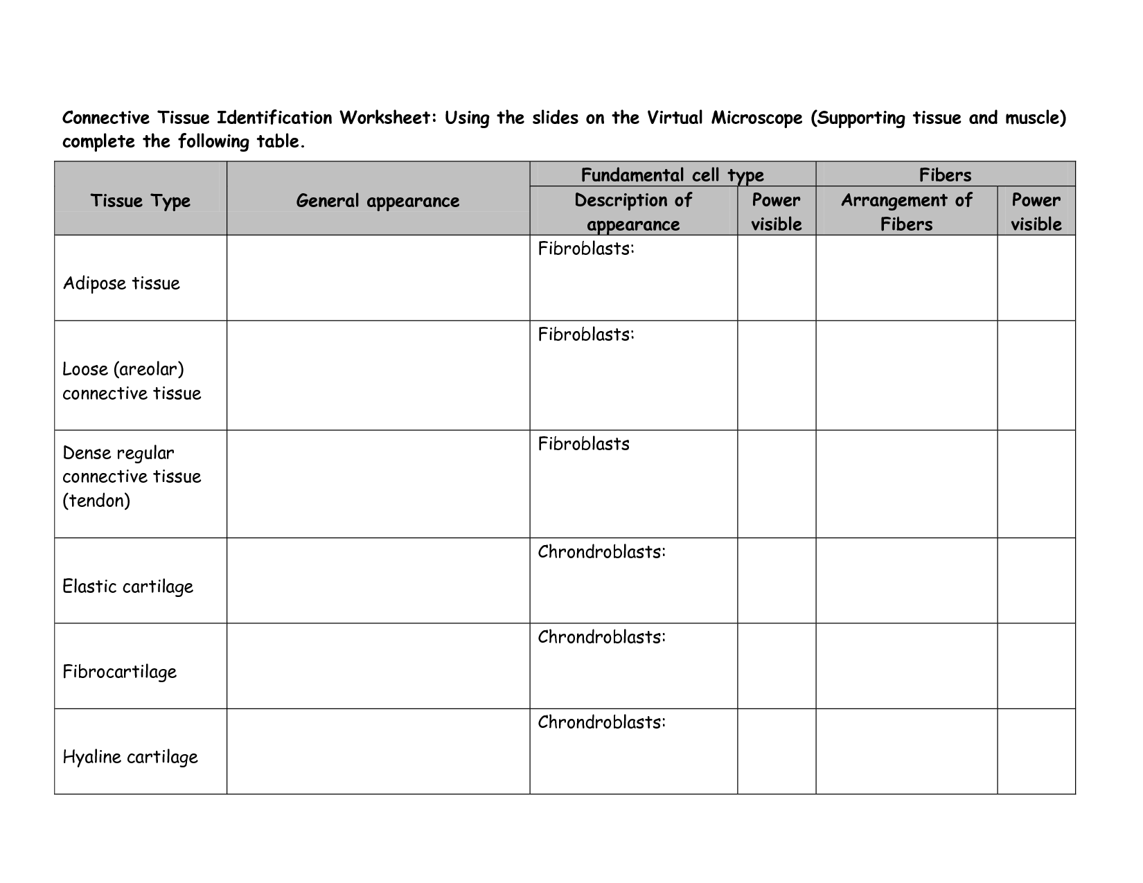 17-best-images-of-for-tissues-and-membranes-worksheets-plant-tissue-worksheet-answers-anatomy