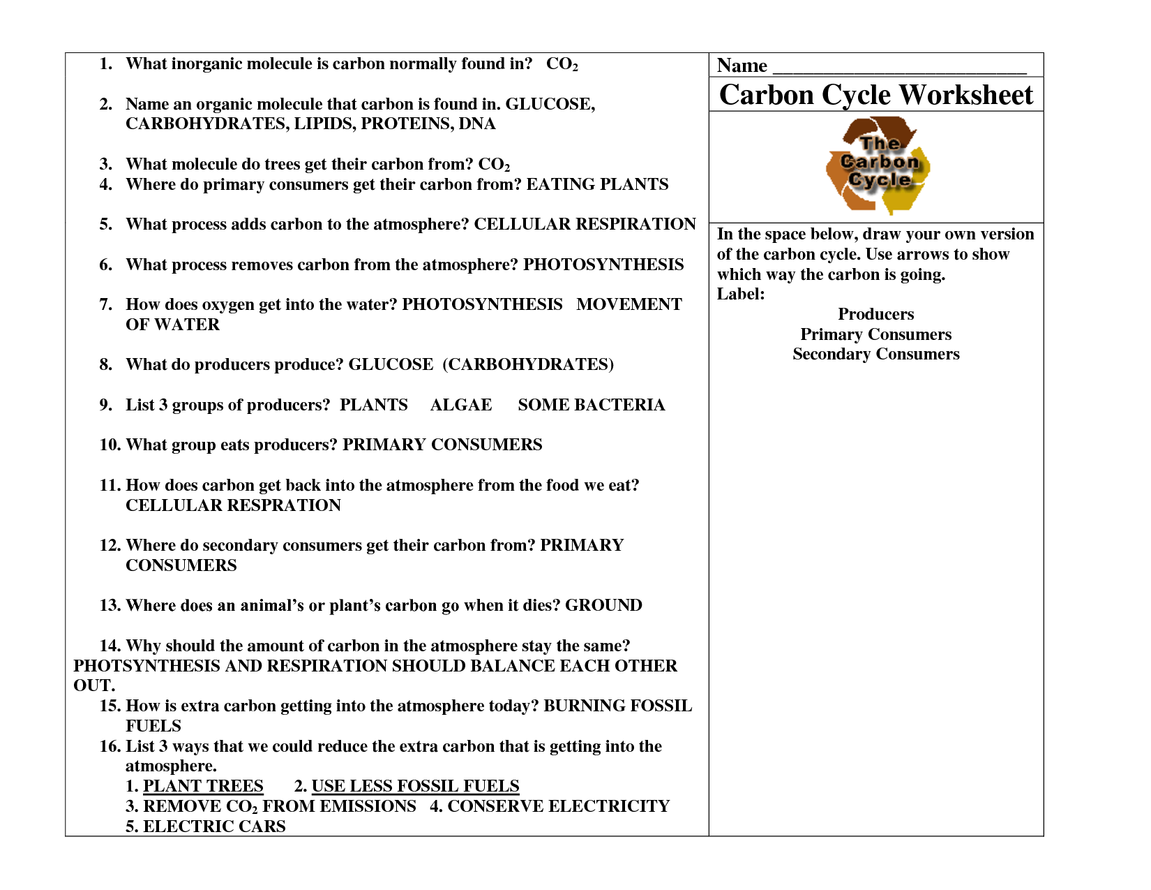 Cycles Worksheet Answer Key
