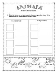 Cut and Paste Animal Classification Vertebrate Worksheets