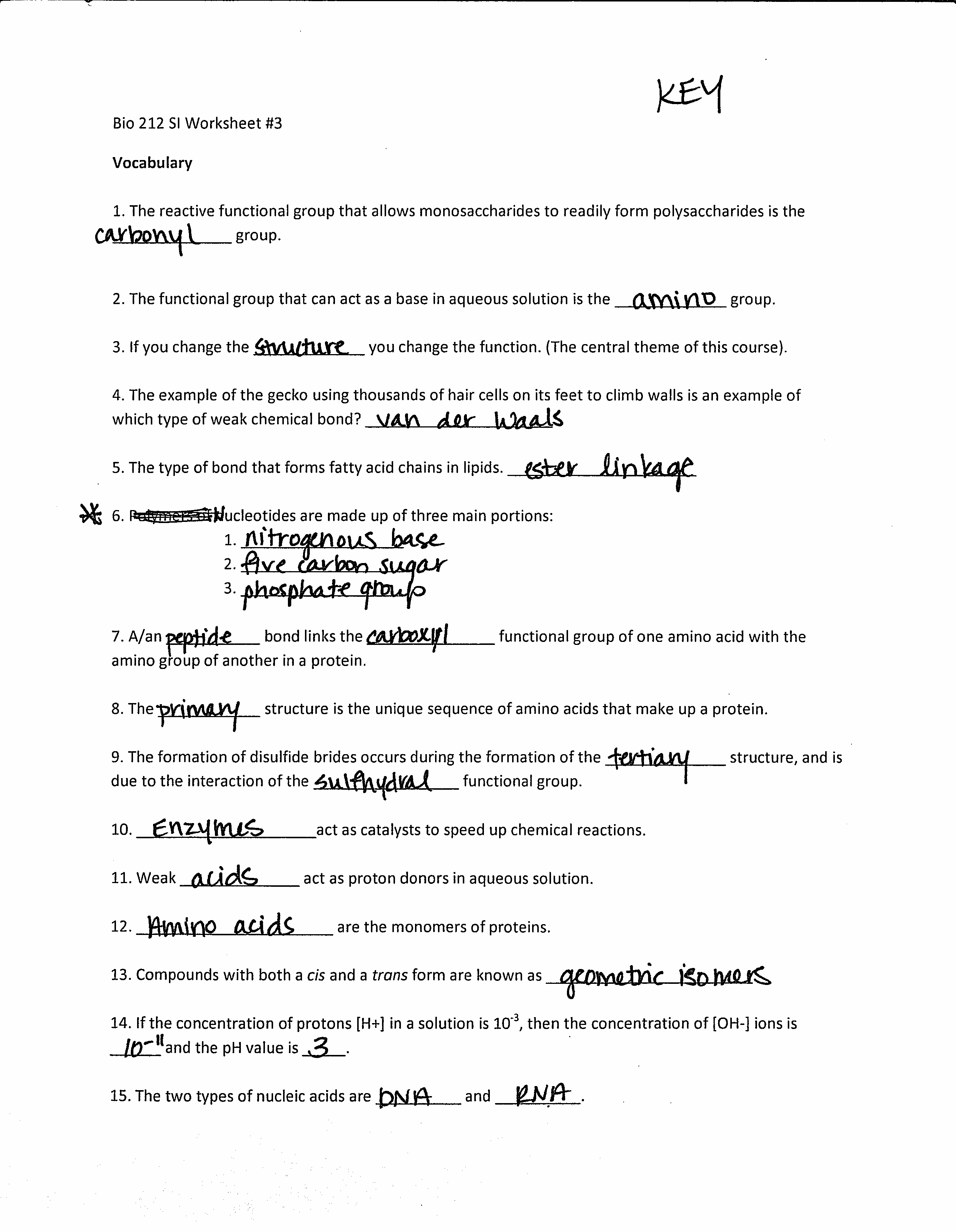 Dna And Replication Worksheet